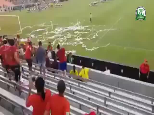 اخبار الدوري السعودي ، هيجيتا يلكم مشجع سعودي