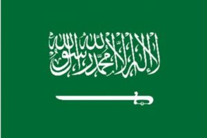 السعودية نيوكاسل