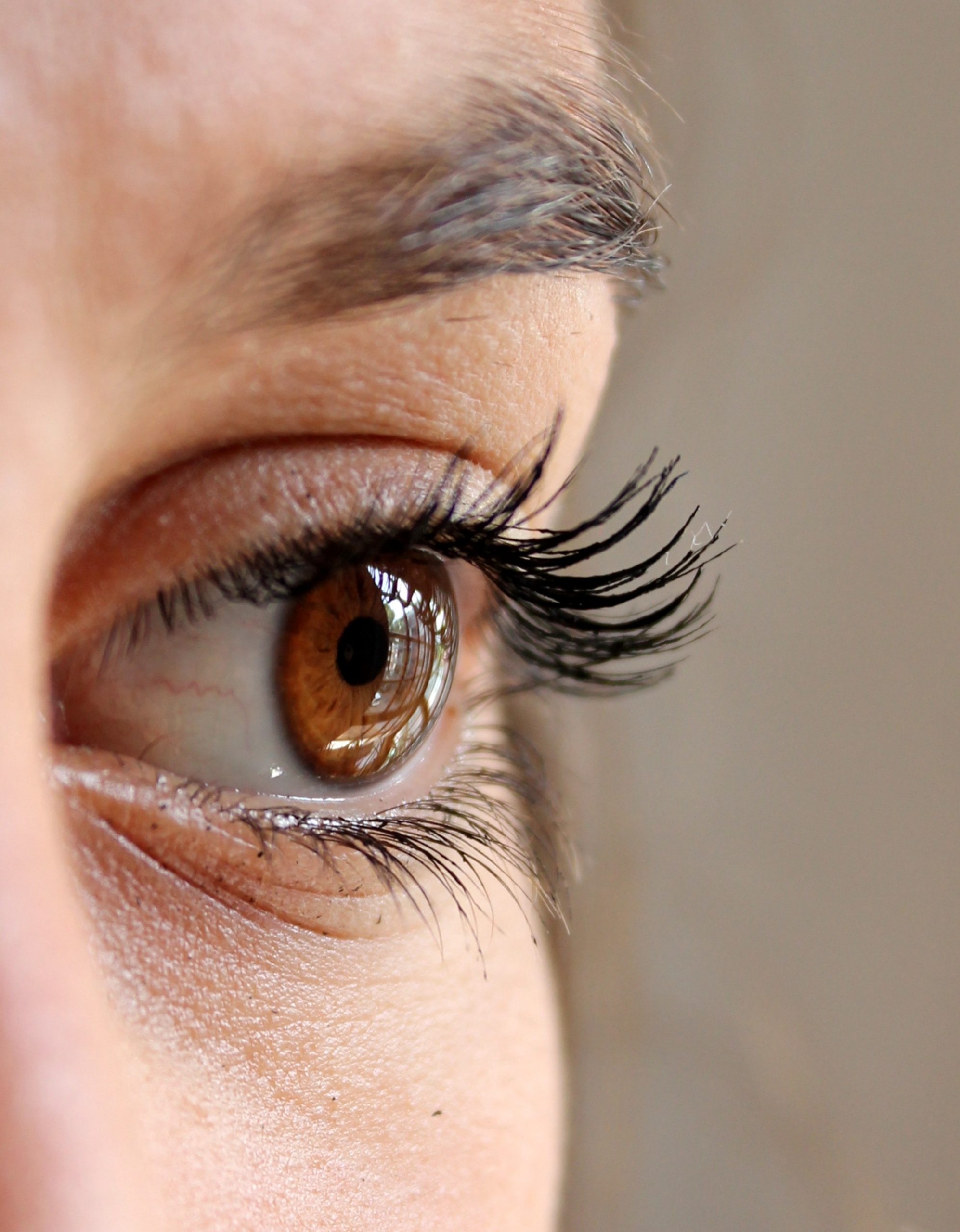 Eyelashes Of Your Dreams In 13 Easy, Quick and Natural Ways